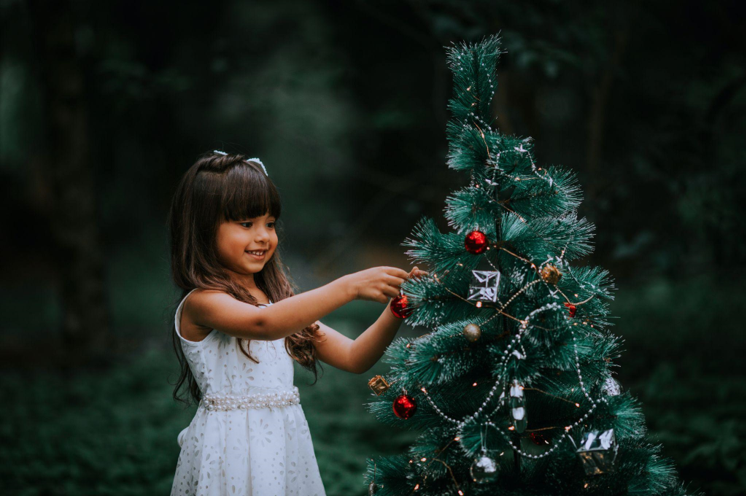 The Many Benefits of Artificial Christmas Trees for Education