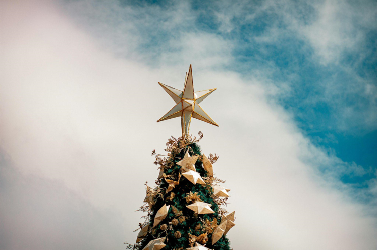 The King of Christmas Trees: How to Choose